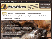 Tablet Screenshot of furballschoice.com